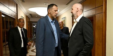 Dino Rađa, Vlade Divac