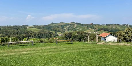 Vinarija Cmrečnjak - 2