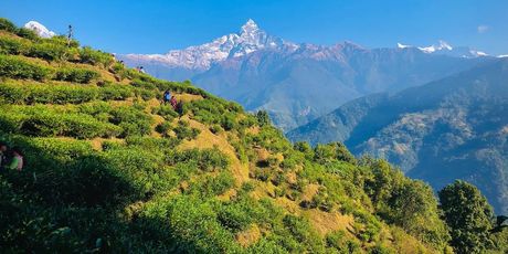 Machhapuchhare - 2