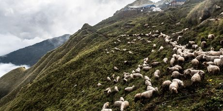 Machhapuchhare - 3