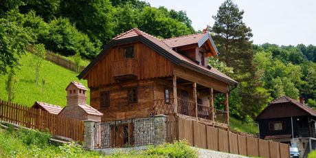Vila Trnoružica Tuhelj - 17