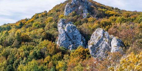 Kalnik - 1