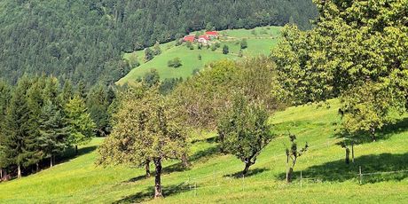 Highlander Slovenija - 56