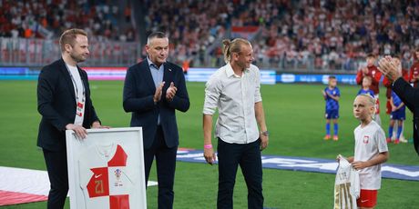 Domagoj Vida i sin David