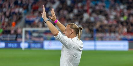 Domagoj Vida i sin David