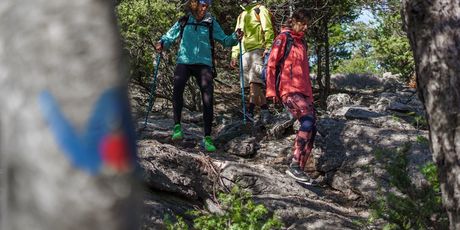 Cres Hike, besplatne vođene hike ture - 3