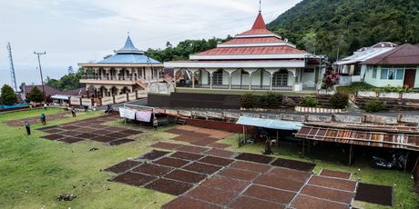 Branje i sušenje klinčića na otoku Tidore u Indoneziji - 7