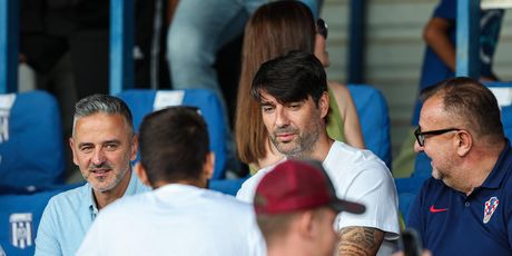 Vedran Ćorluka