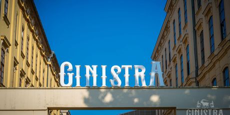 Festival GinIstra u Rovinju - 5