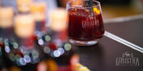 Festival GinIstra u Rovinju - 6