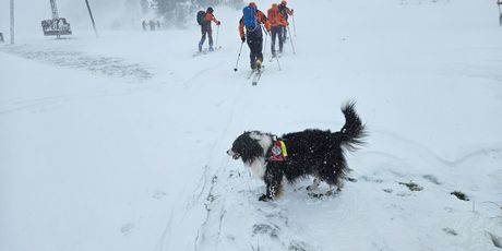 Potraga za nestalim skijašem