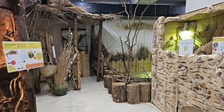 Tropska kuća u Celju - 2