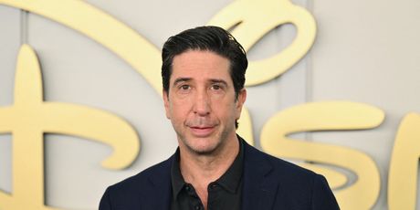 David Schwimmer - 4