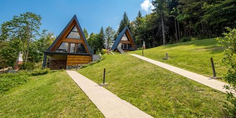 Gorska bajka - planinske kuće Borovica i Tisa - 14