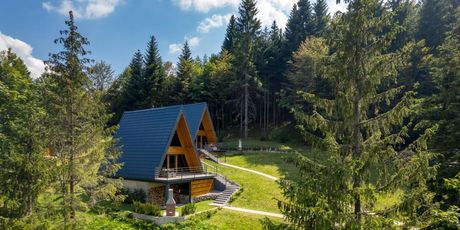 Gorska bajka - planinske kuće Borovica i Tisa - 15