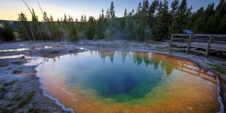 Termalni izvor Morning Glory u Yellowstoneu - 2