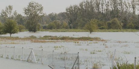 Vodeni val u Hrvatskoj - 1