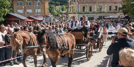 Svečanost 54. branje grojzdja