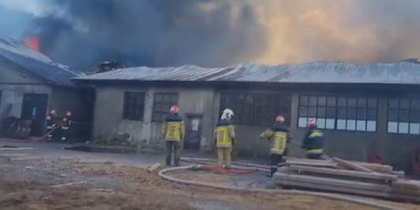 Požar u jednoj od najvećih pilana u Hrvatskoj - 3