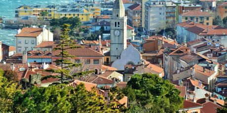Muggia - 2