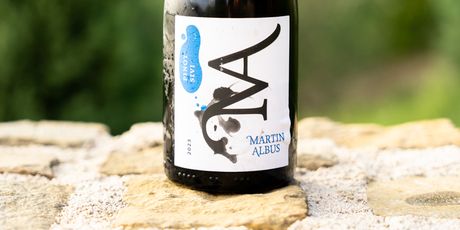 Martin Albus Pinot sivi