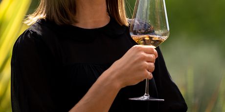 Martin Albus vina - 6