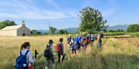 Camino Imota - 4