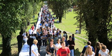 Štrudlafest - 11