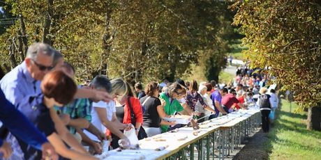 Štrudlafest - 12