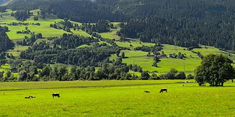 Zell am See - 4