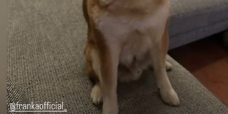 Franka Batelić Ćorluka i Vedran Ćorluka