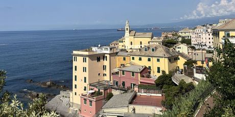 Genova - 17