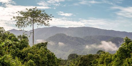 Nacionalni park Gunung Mulu - 5