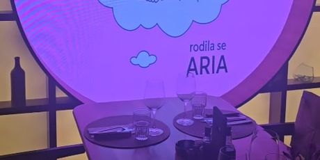 Borka Mihajlović - 2