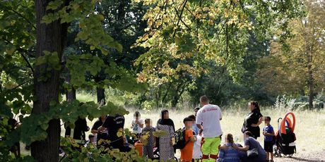Vozač se automobilom zaletio u skupinu pješaka u Berlinu - 6