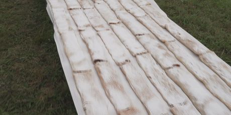 In Magazin: Štrudlafest - 6