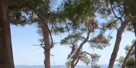 Ed Sheeran i Phoebe Dynevor - 3