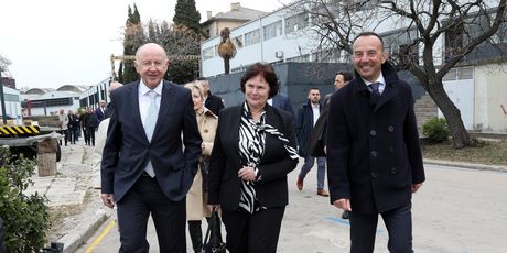 Danica Kramarić - 1