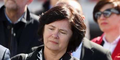 Danica Kramarić - 2