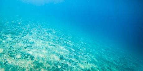 Novi kviz općeg znanja - 11