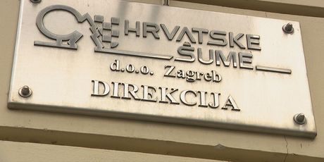 Uhićenja u Hrvatskim šumama - 4