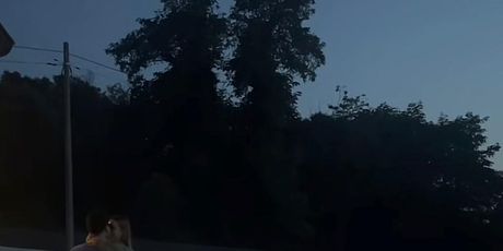 Nika Turković, Zoran Zarubica