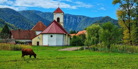 Dan šljiva i Dan jabuka u Gorskom kotaru - 7