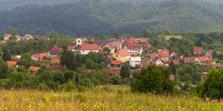 Dan šljiva i Dan jabuka u Gorskom kotaru - 8