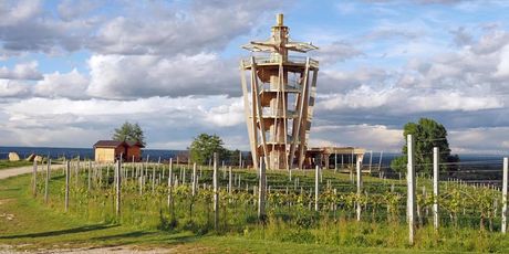 Wine&Walk Međimurje - 11