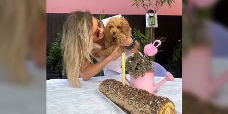 In Magazin: Moruzgva - 1