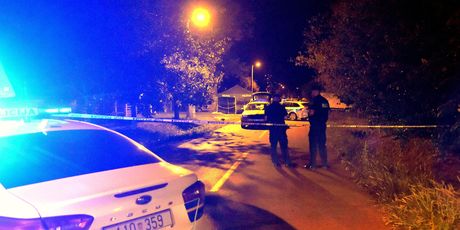 Mjesto ubojstva Zorana Grgića - 3