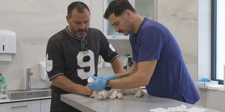 In Magazin: Milan Marić - 4