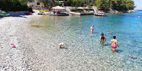 Pičena - 13