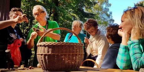 Festival gljiva i plodova jeseni - 14